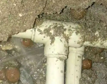 牡丹测漏水多少钱