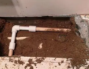 牡丹测漏水哪家好