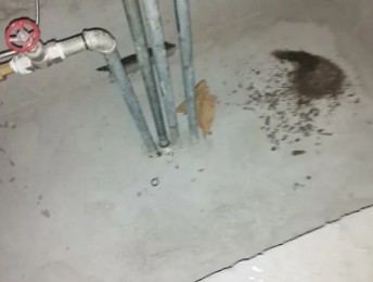 牡丹卫生间测漏水价格明细