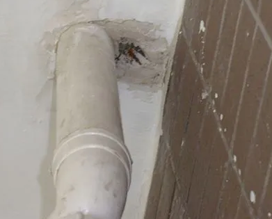 牡丹漏水检测哪家好